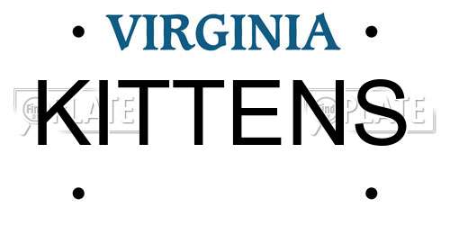 KITTENS Virginia License Plate