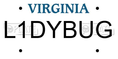 L1DYBUG Virginia License Plate