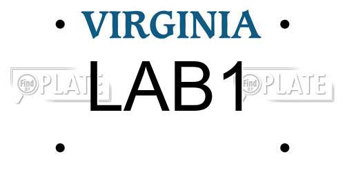 LAB1 Virginia License Plate