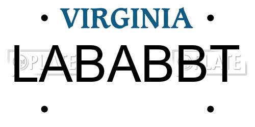 LABABBT Virginia License Plate