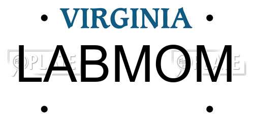 LABMOM Virginia License Plate