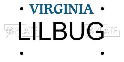 LILBUG Virginia License Plate