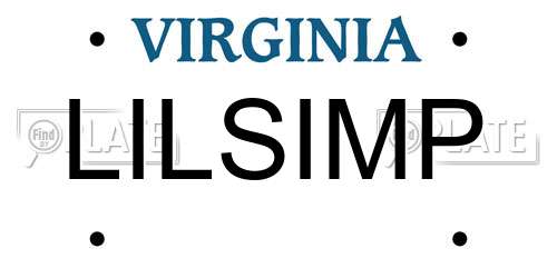 LILSIMP Virginia License Plate