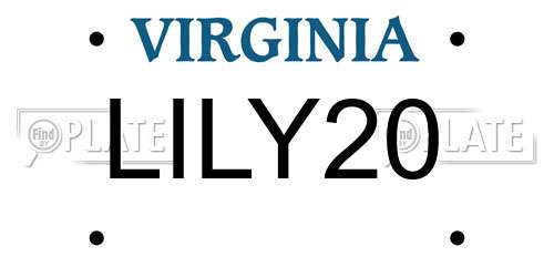 LILY20 Virginia License Plate