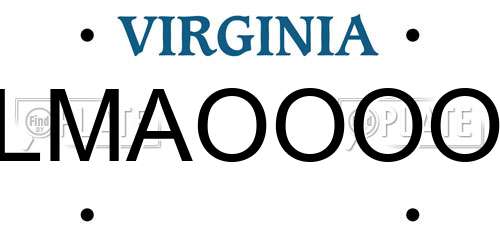 LMAOOOO Virginia License Plate