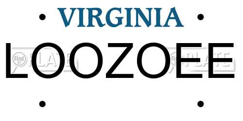 LOOZOEE Virginia License Plate