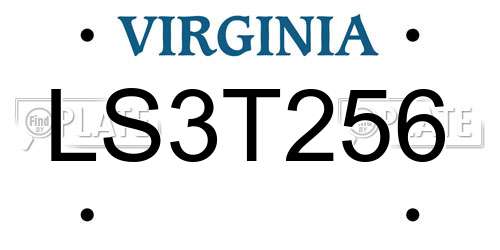 LS3T256 Virginia License Plate