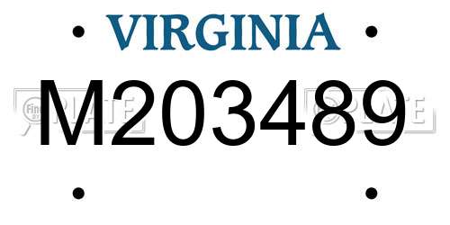M203489 Virginia License Plate