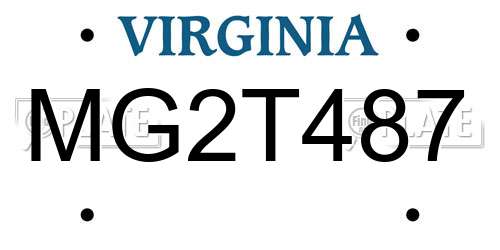 MG2T487 Virginia License Plate