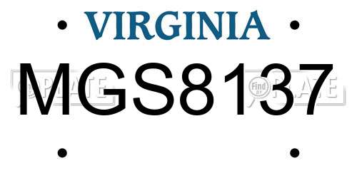 MGS8137 Virginia License Plate
