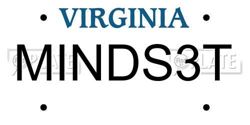 MINDS3T Virginia License Plate