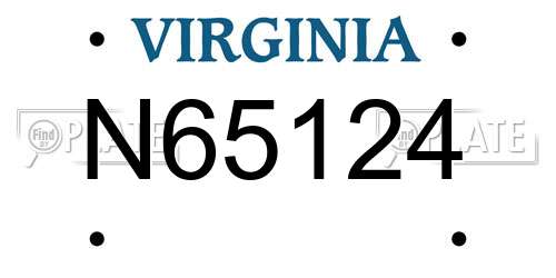 N65124 Virginia License Plate