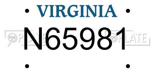 N65981 Virginia License Plate