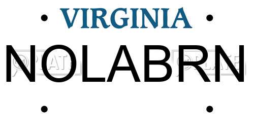 NOLABRN Virginia License Plate