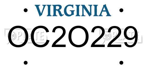 OC2O229 Virginia License Plate