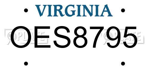 OES8795 Virginia License Plate