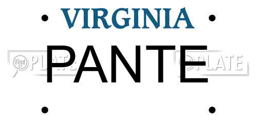 PANTE Virginia License Plate