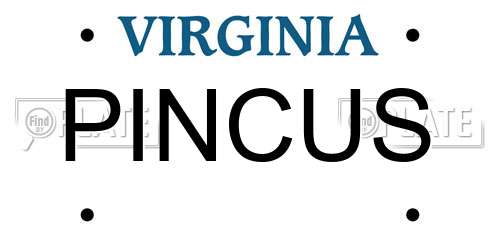 PINCUS Virginia License Plate