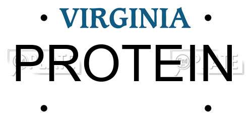 PROTEIN Virginia License Plate