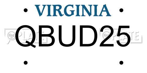 QBUD25 Virginia License Plate