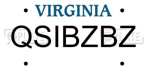 QSIBZBZ Virginia License Plate