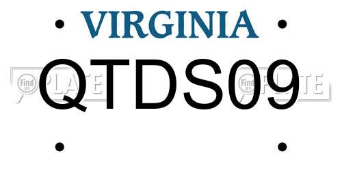 QTDS09 Virginia License Plate