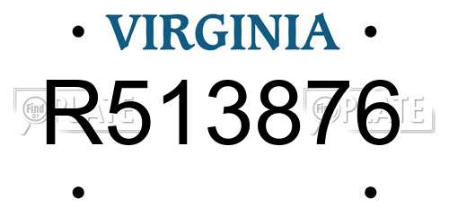 R513876 Virginia License Plate