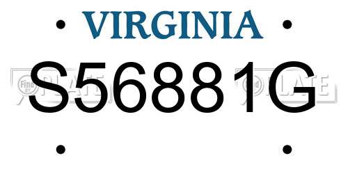S56881G Virginia License Plate