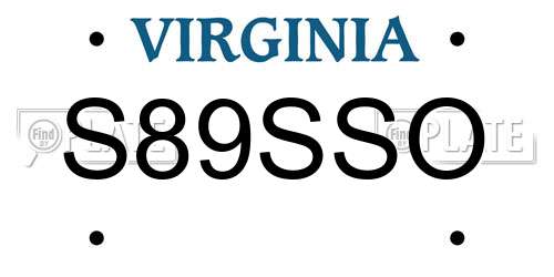 S89SSO Virginia License Plate