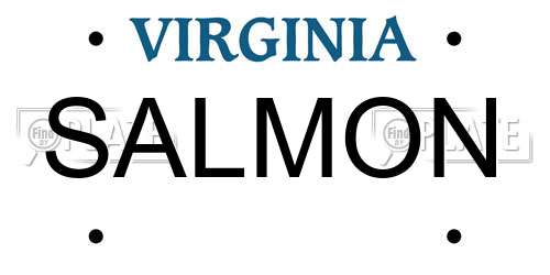 SALMON Virginia License Plate