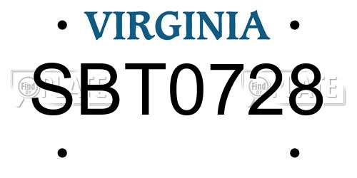 SBT0728 Virginia License Plate