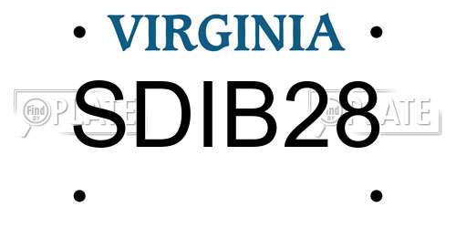 SDIB28 Virginia License Plate