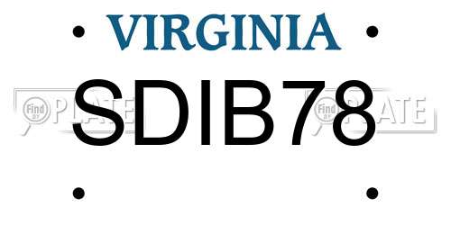 SDIB78 Virginia License Plate