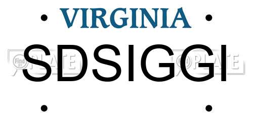 SDSIGGI Virginia License Plate