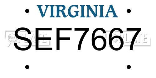 SEF7667 Virginia License Plate