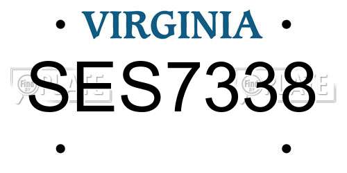 SES7338 Virginia License Plate