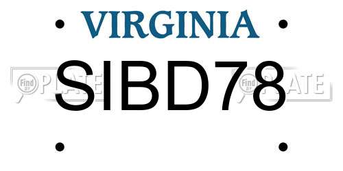 SIBD78 Virginia License Plate
