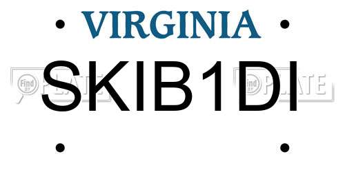 SKIB1DI Virginia License Plate