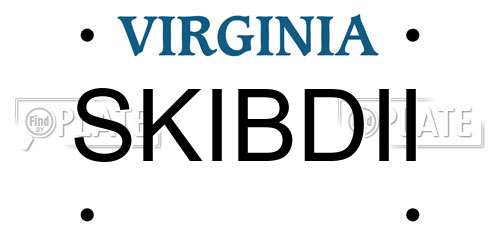 SKIBDII Virginia License Plate