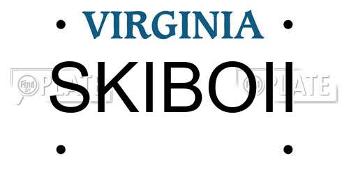 SKIBOII Virginia License Plate
