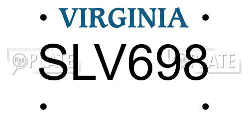 SLV698 Virginia License Plate