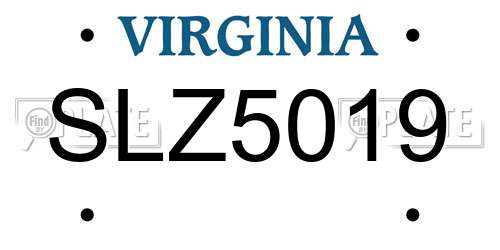 SLZ5019 Virginia License Plate