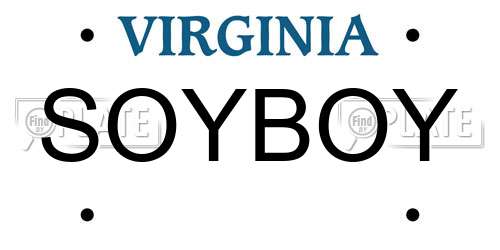 SOYBOY Virginia License Plate