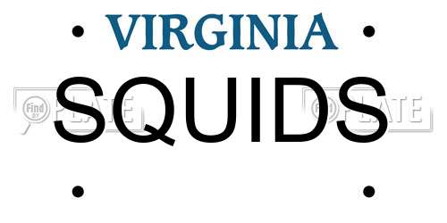 SQUIDS Virginia License Plate