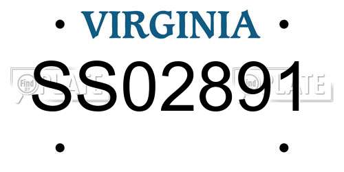 SS02891 Virginia License Plate
