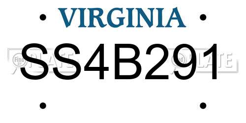 SS4B291 Virginia License Plate