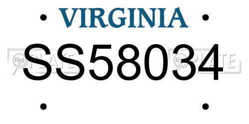 SS58034 Virginia License Plate