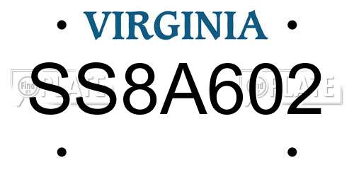 SS8A602 Virginia License Plate