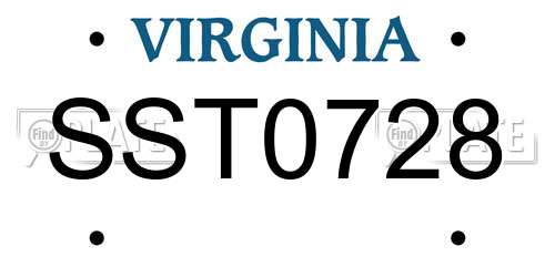 SST0728 Virginia License Plate