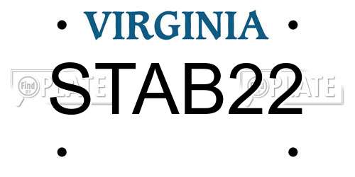 STAB22 Virginia License Plate